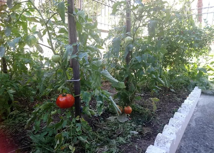 α Lovely For A Summer Vacation Дом отдыха